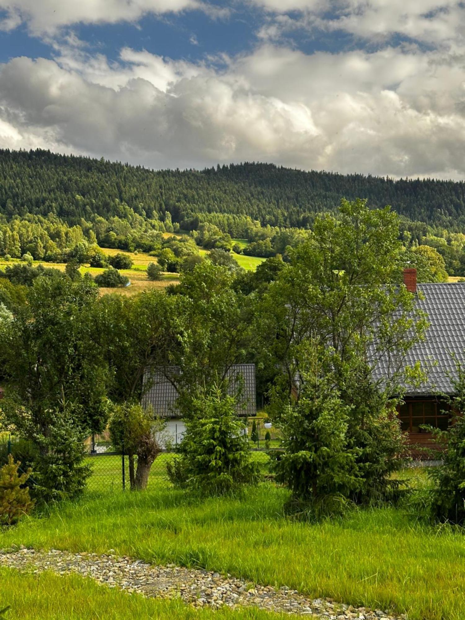 Black Deer - Z Sauna Na Tarasie, Jacuzzi I Widokiem Na Gory - By Deer Hills Luxury Apartments Kocon Exterior photo